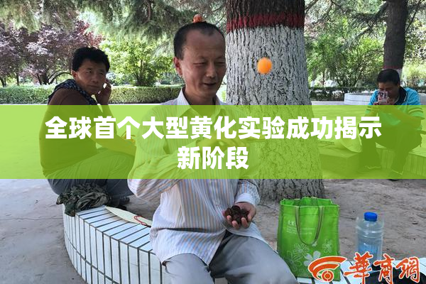 全球首个大型黄化实验成功揭示新阶段