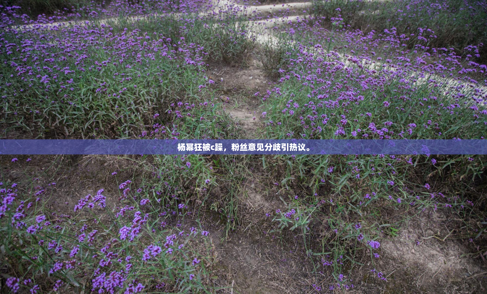 杨幂狂被c躁，粉丝意见分歧引热议。
