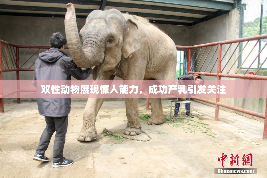 双性动物展现惊人能力，成功产乳引发关注