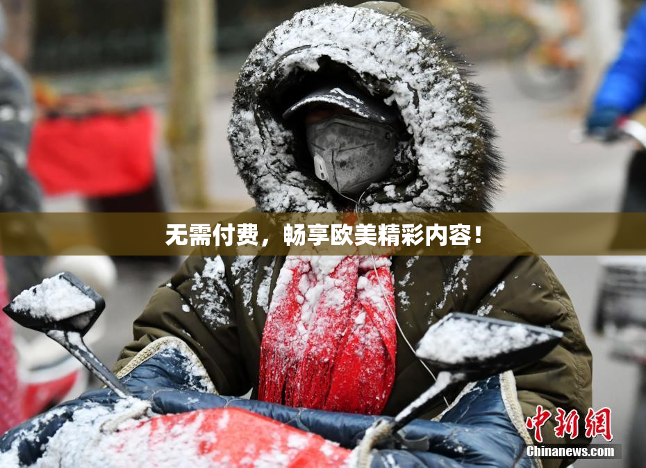 无需付费，畅享欧美精彩内容！