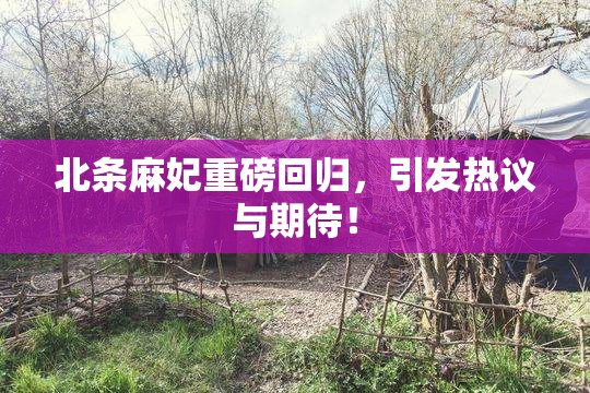 北条麻妃重磅回归，引发热议与期待！