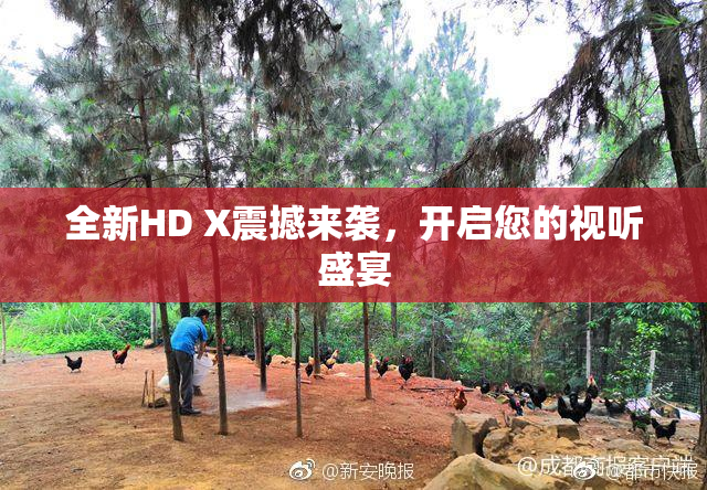全新HD X震撼来袭，开启您的视听盛宴