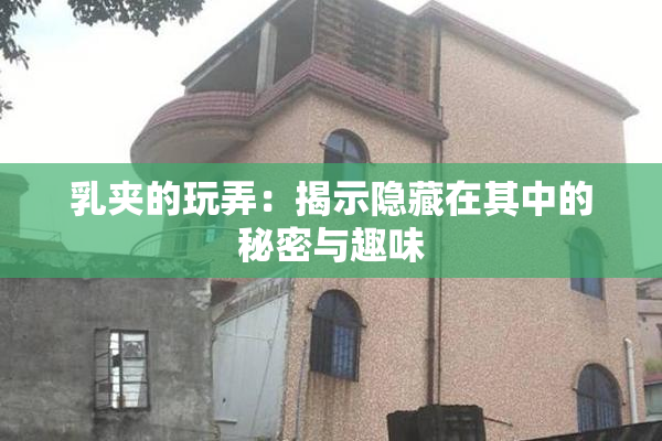 乳夹的玩弄：揭示隐藏在其中的秘密与趣味