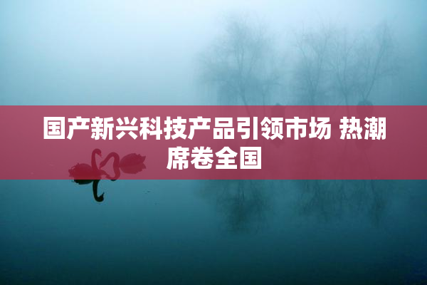 国产新兴科技产品引领市场 热潮席卷全国