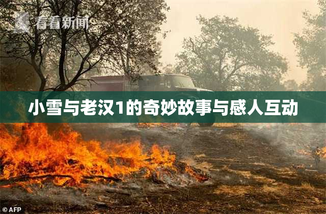 小雪与老汉1的奇妙故事与感人互动