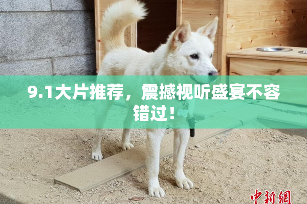 9.1大片推荐，震撼视听盛宴不容错过！
