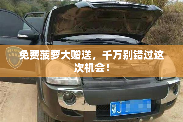 免费菠萝大赠送，千万别错过这次机会！