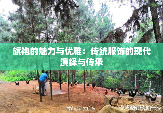 旗袍的魅力与优雅：传统服饰的现代演绎与传承