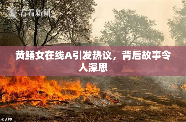黄鳝女在线A引发热议，背后故事令人深思