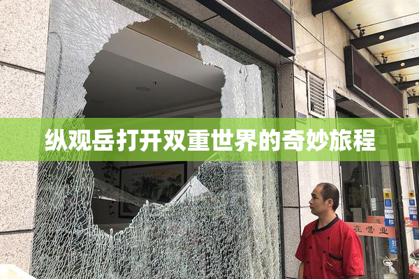 纵观岳打开双重世界的奇妙旅程