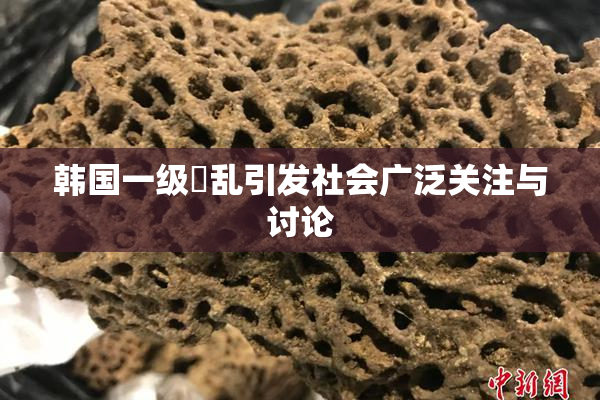 韩国一级婬乱引发社会广泛关注与讨论