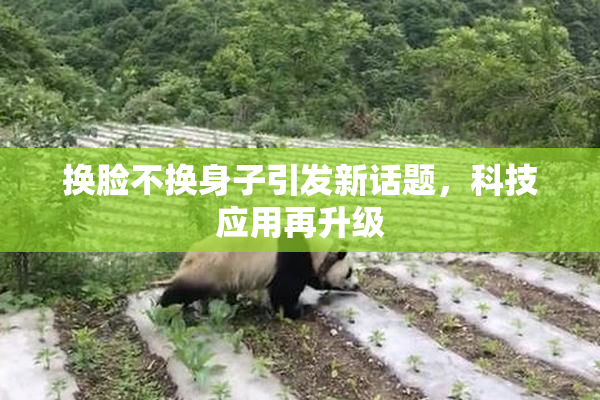 换脸不换身子引发新话题，科技应用再升级
