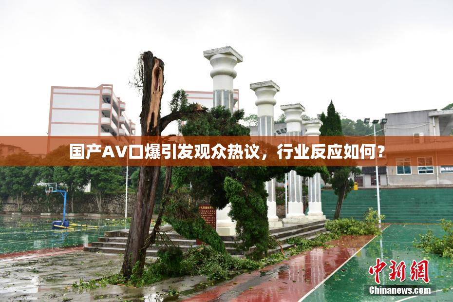 国产AV口爆引发观众热议，行业反应如何？