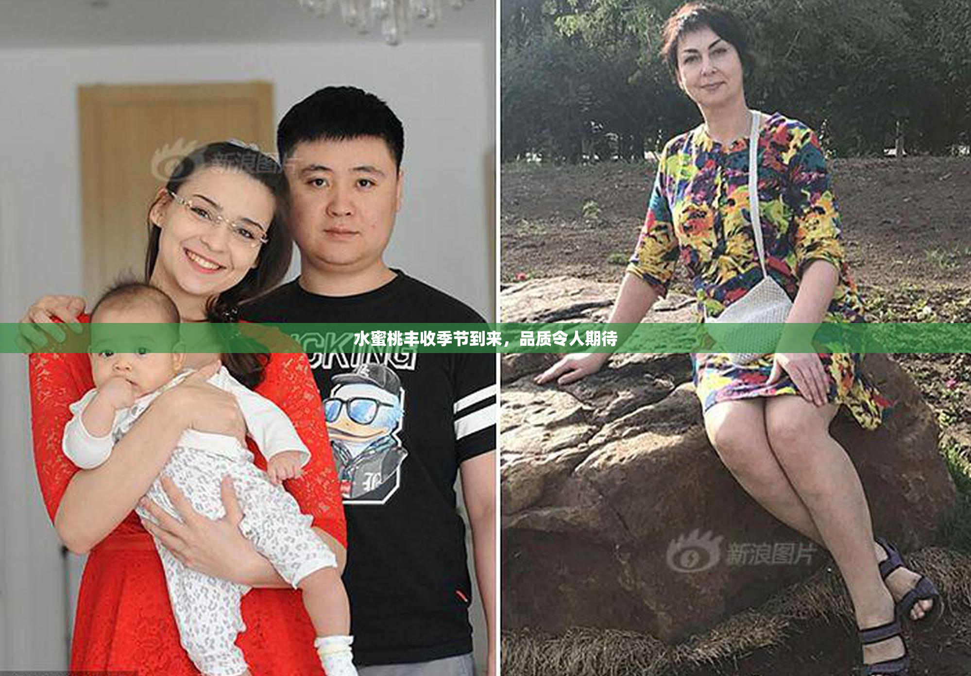 水蜜桃丰收季节到来，品质令人期待