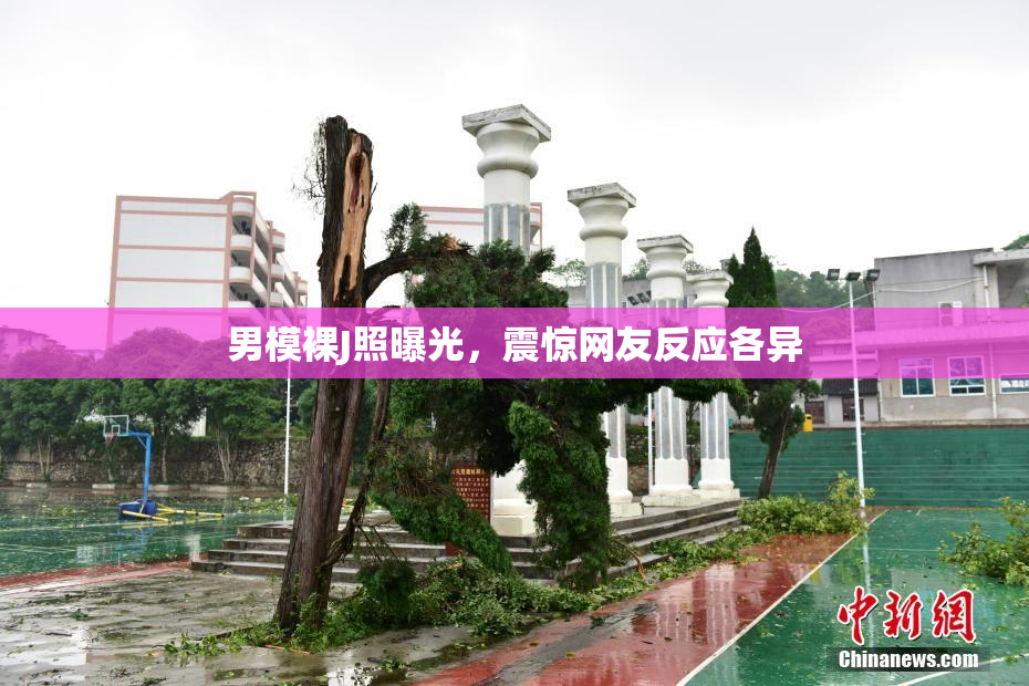 男模裸J照曝光，震惊网友反应各异