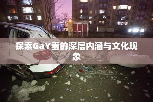 探索GaY羞的深层内涵与文化现象