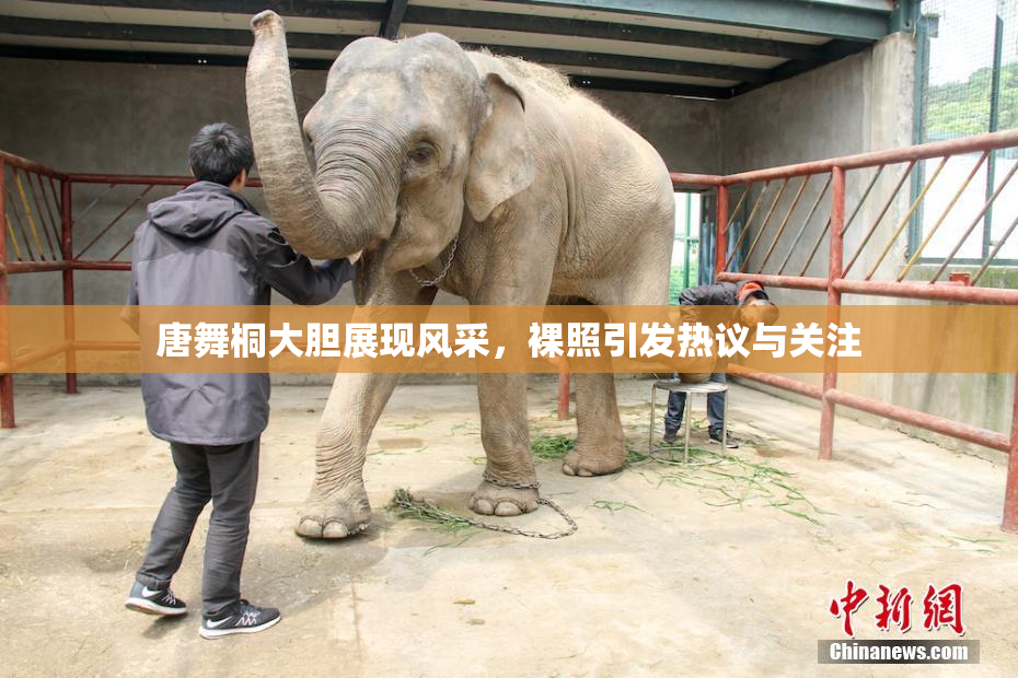唐舞桐大胆展现风采，裸照引发热议与关注