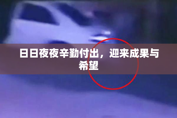 日日夜夜辛勤付出，迎来成果与希望