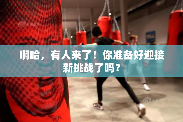 啊哈，有人来了！你准备好迎接新挑战了吗？