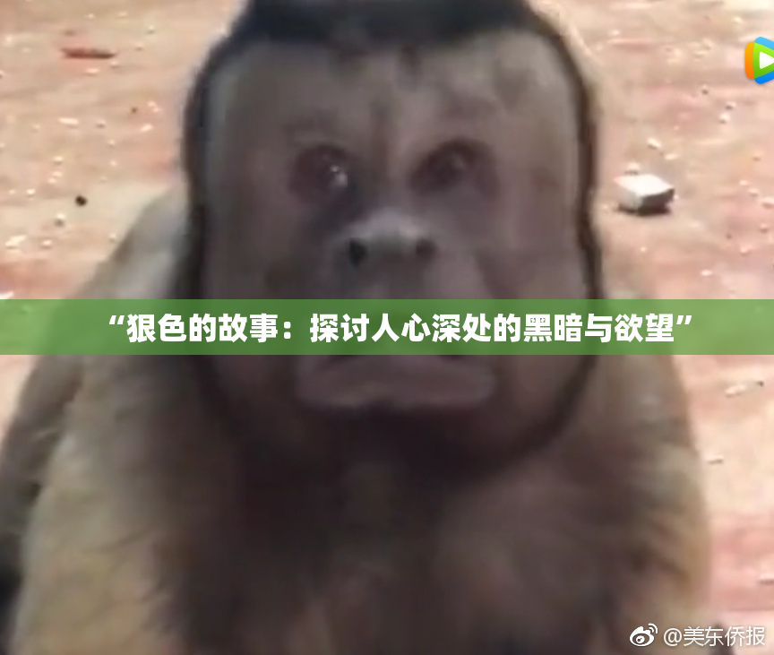 “狠色的故事：探讨人心深处的黑暗与欲望”