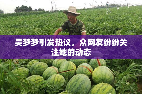 吴梦梦引发热议，众网友纷纷关注她的动态