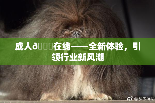 成人🔞在线——全新体验，引领行业新风潮