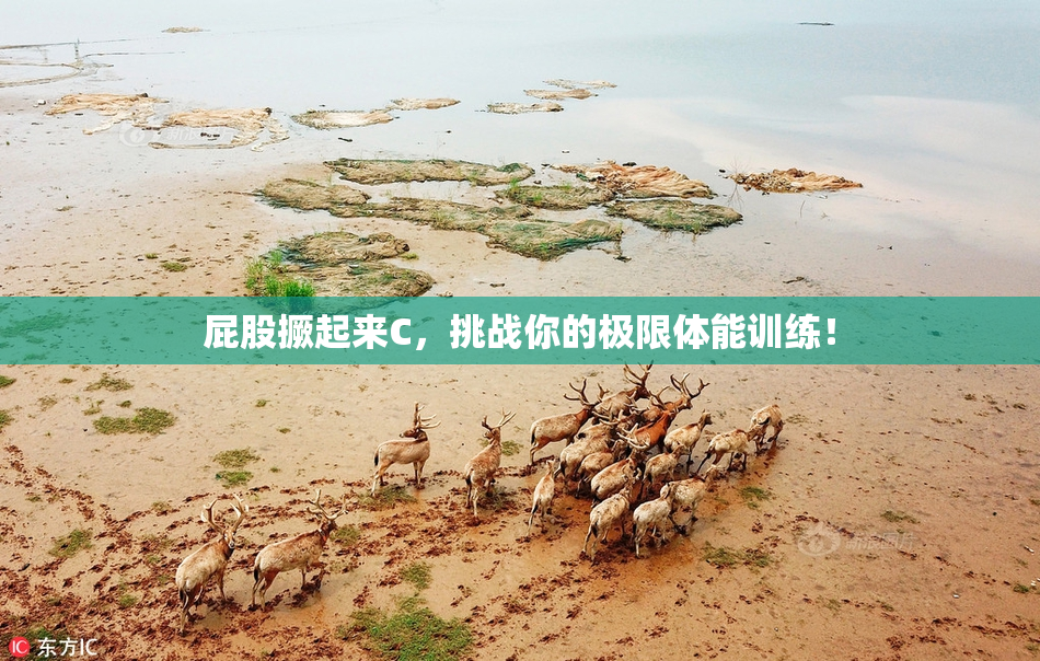 屁股撅起来C，挑战你的极限体能训练！