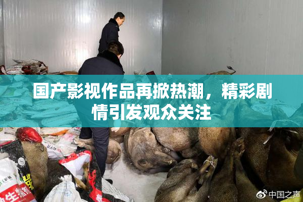 国产影视作品再掀热潮，精彩剧情引发观众关注
