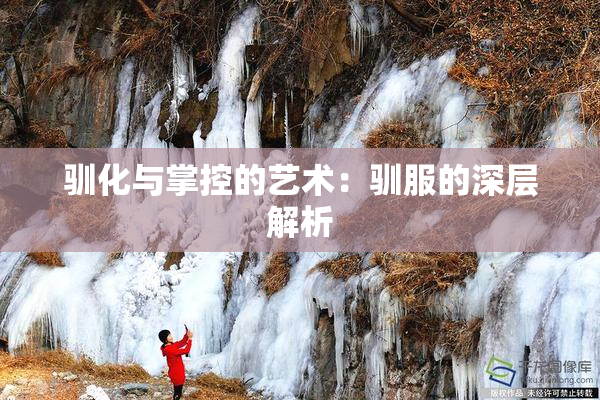 驯化与掌控的艺术：驯服的深层解析