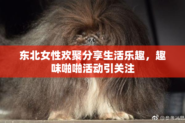 东北女性欢聚分享生活乐趣，趣味啪啪活动引关注