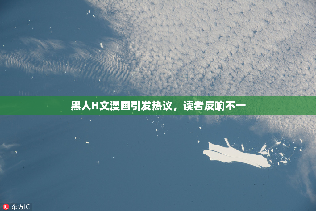 黑人H文漫画引发热议，读者反响不一