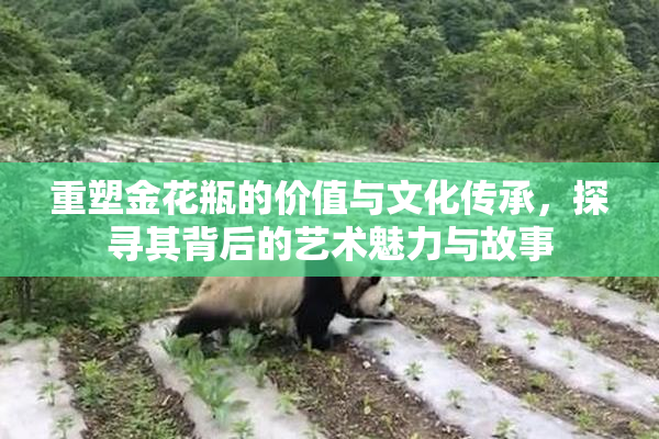 重塑金花瓶的价值与文化传承，探寻其背后的艺术魅力与故事