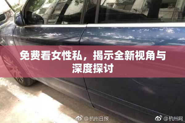 免费看女性私，揭示全新视角与深度探讨