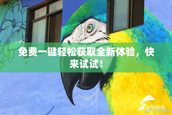 免费一键轻松获取全新体验，快来试试！