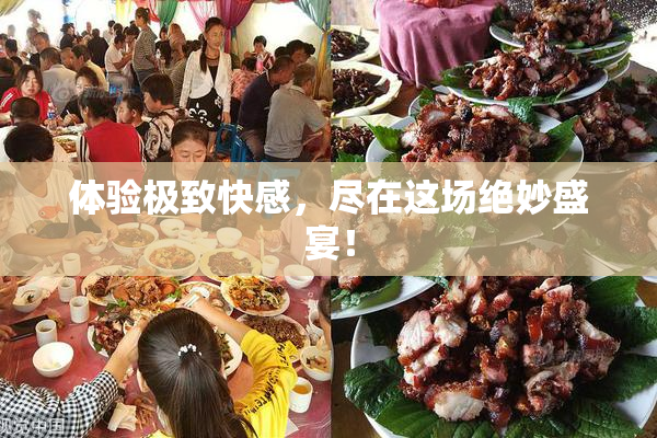 体验极致快感，尽在这场绝妙盛宴！