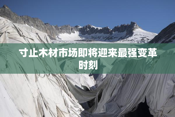 寸止木材市场即将迎来最强变革时刻
