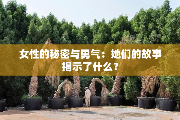 女性的秘密与勇气：她们的故事揭示了什么？