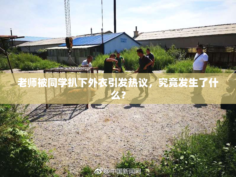 老师被同学扒下外衣引发热议，究竟发生了什么？