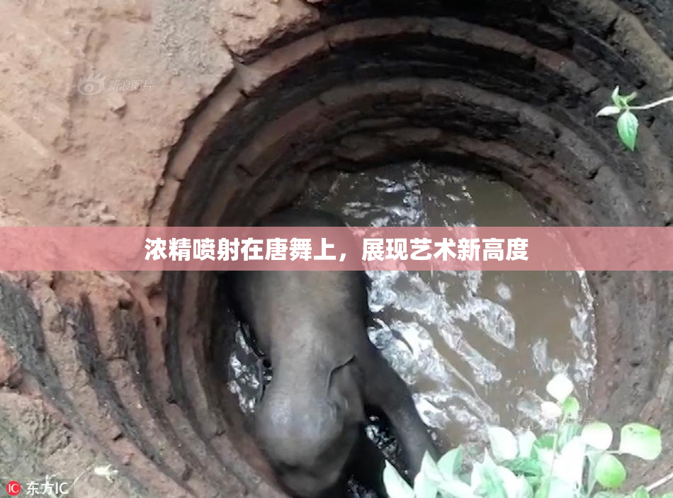 浓精喷射在唐舞上，展现艺术新高度