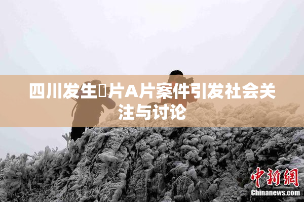 四川发生婬片A片案件引发社会关注与讨论