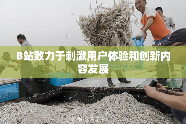 B站致力于刺激用户体验和创新内容发展