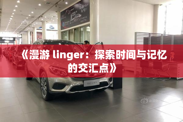 《漫游 linger：探索时间与记忆的交汇点》