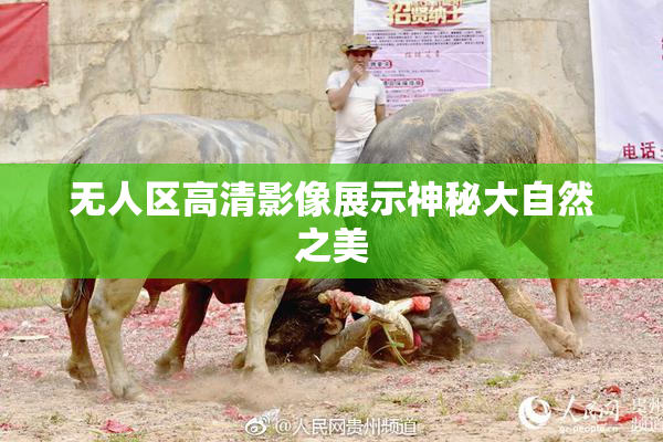 无人区高清影像展示神秘大自然之美
