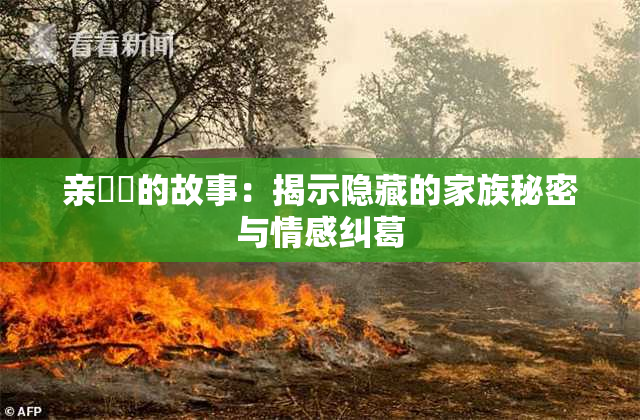亲妺妺的故事：揭示隐藏的家族秘密与情感纠葛