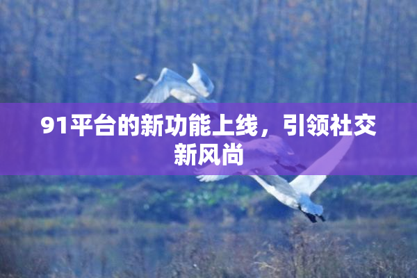 91平台的新功能上线，引领社交新风尚