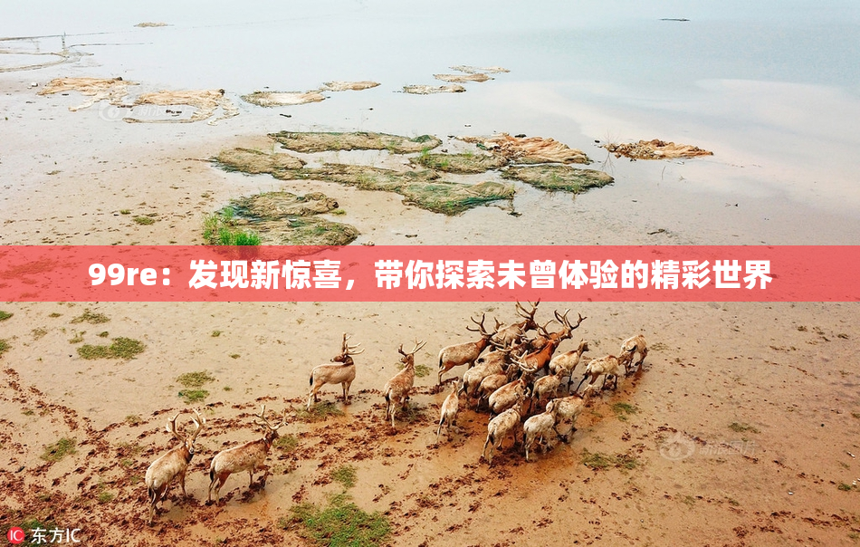 99re：发现新惊喜，带你探索未曾体验的精彩世界