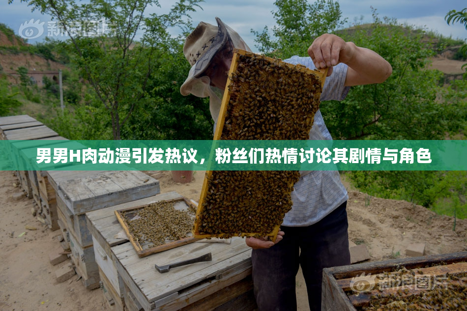 男男H肉动漫引发热议，粉丝们热情讨论其剧情与角色