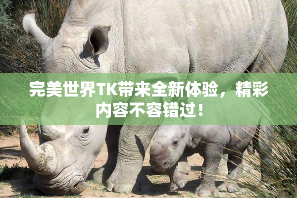完美世界TK带来全新体验，精彩内容不容错过！