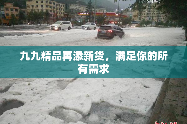 九九精品再添新货，满足你的所有需求