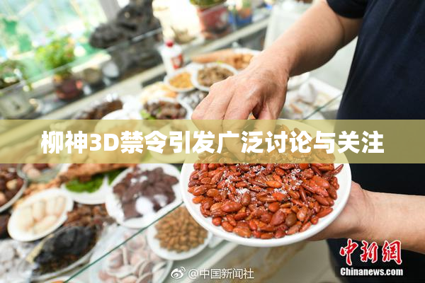 柳神3D禁令引发广泛讨论与关注